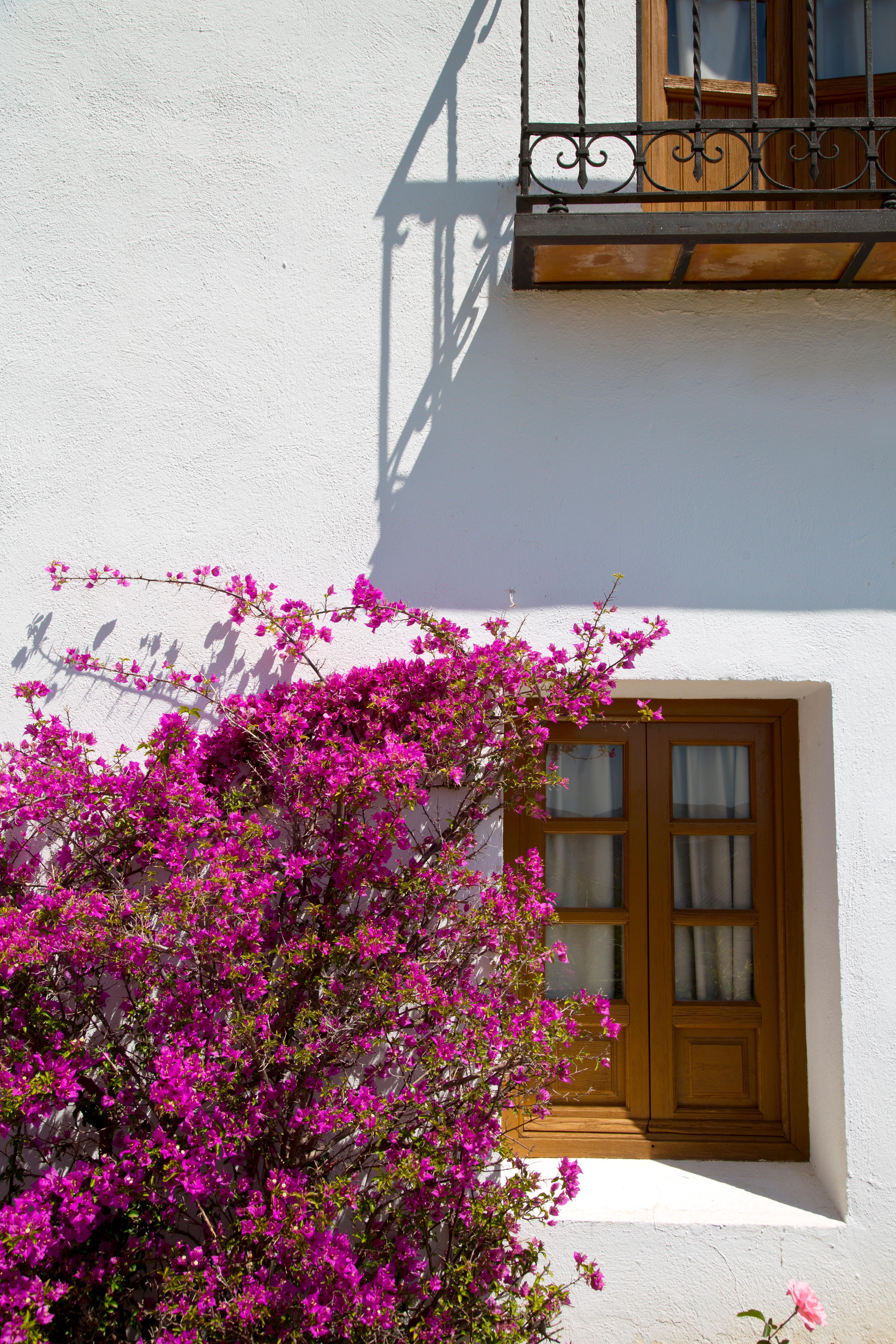 Villa Turistica De Priego Priego de Córdoba Exterior foto